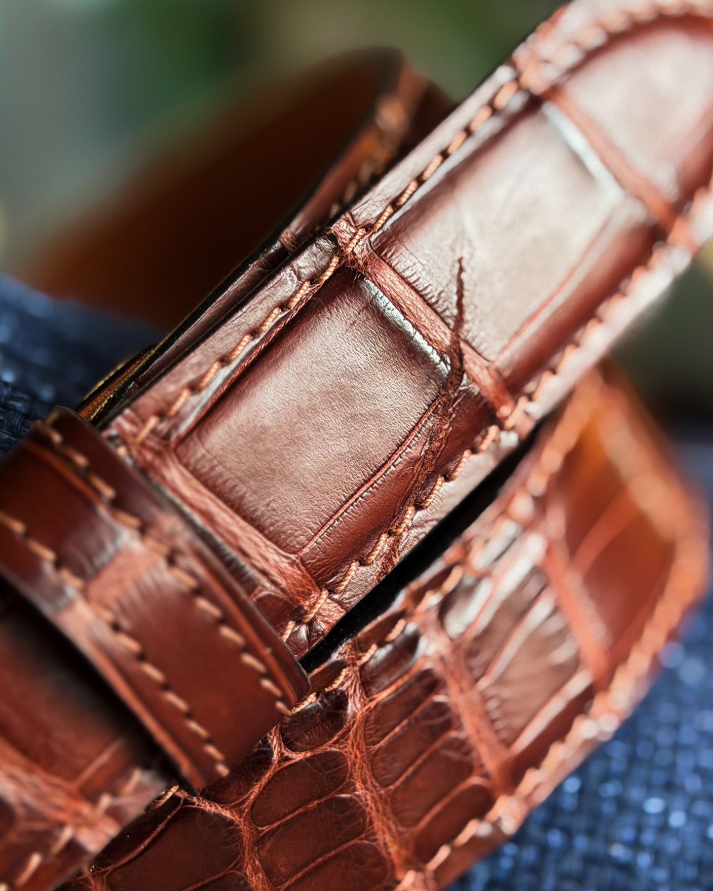 Alligator Belt